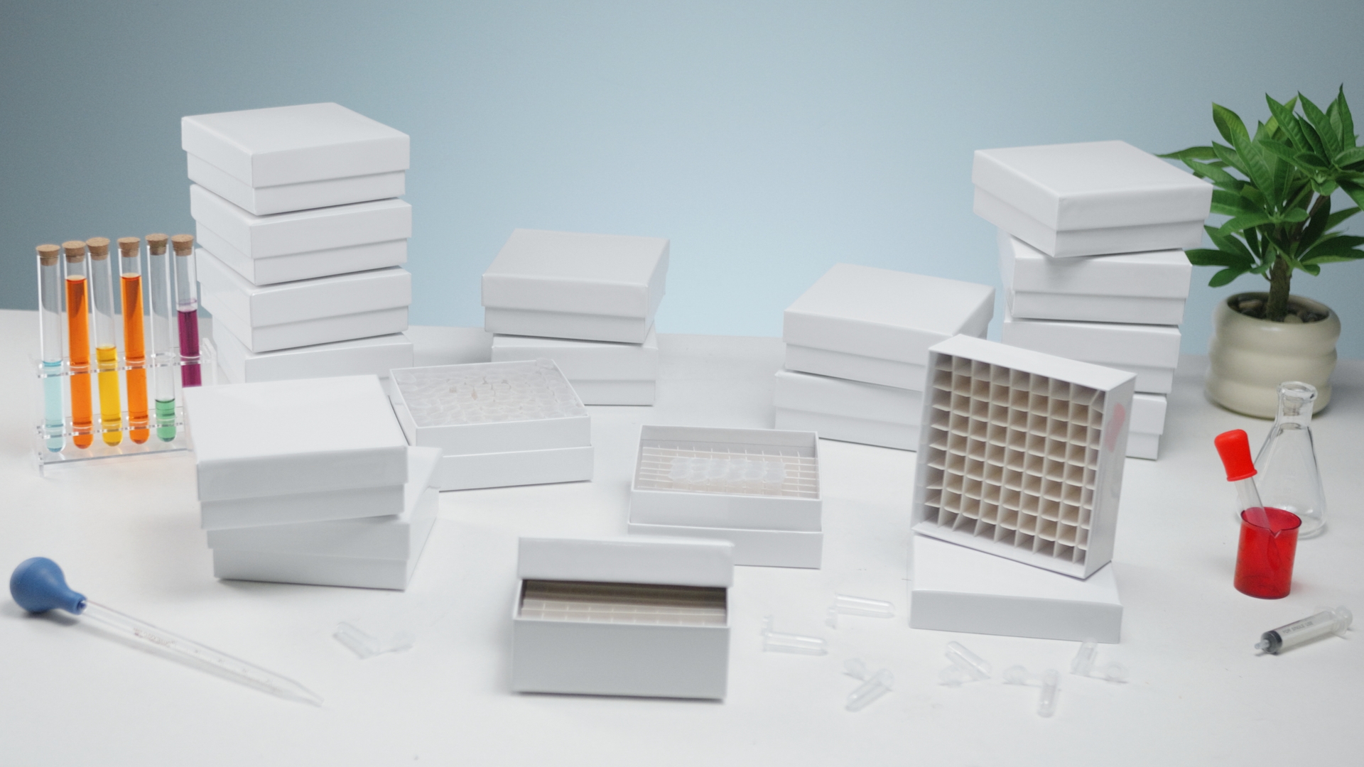 Amazon.com: Teenyyou 18 Pcs 81 Wells Cardboard Freezer Box with